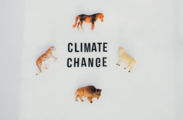 Die wichtigsten Fakten zum Klimawandel, die jeder kennen sollte